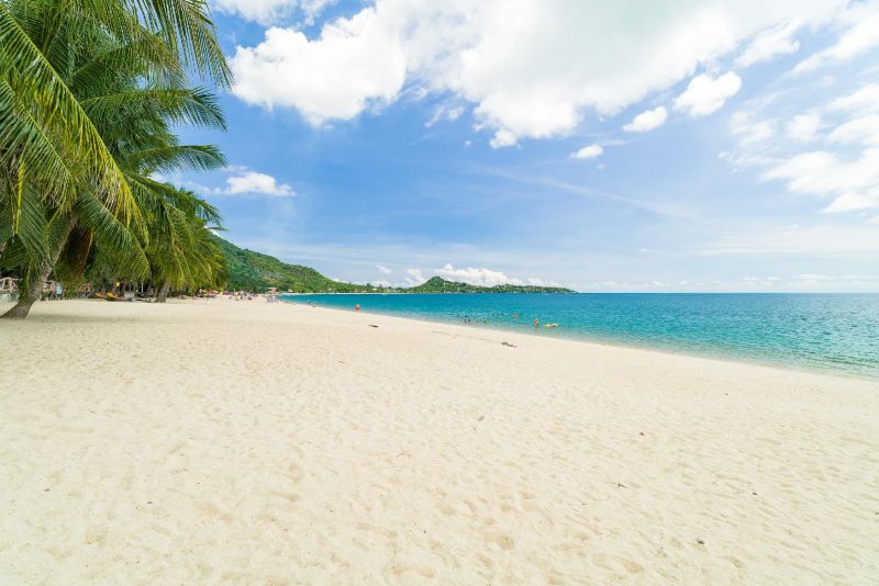 RICH RESORT BEACHSIDE HOTEL — фото 18