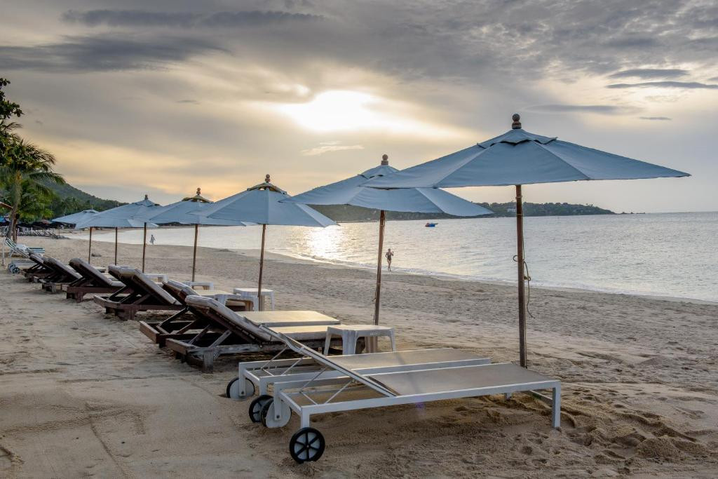 SAMUI JASMINE RESORT — фото 12