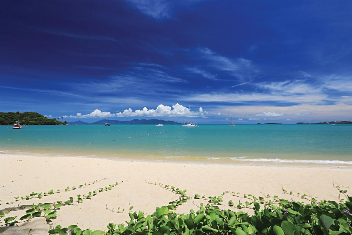 SAMUI PALM BEACH RESORT — фото 8