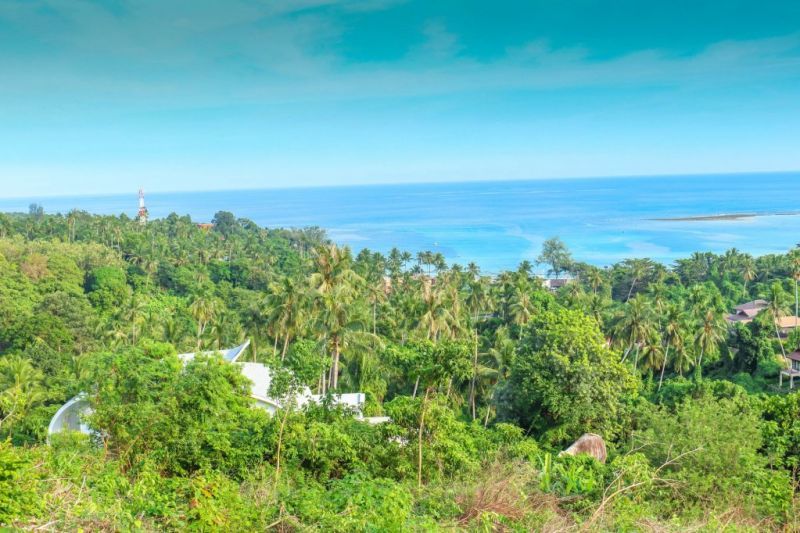 SAMUI REEF VIEW RESORT — фото 15