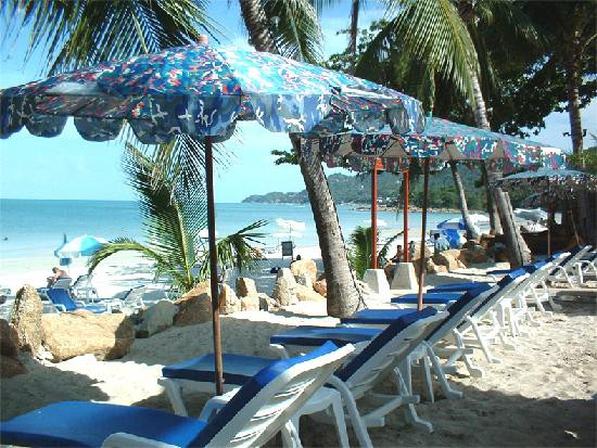 SEASCAPE BEACH RESORT — фото 4