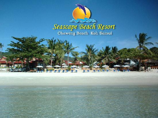 SEASCAPE BEACH RESORT — фото 7