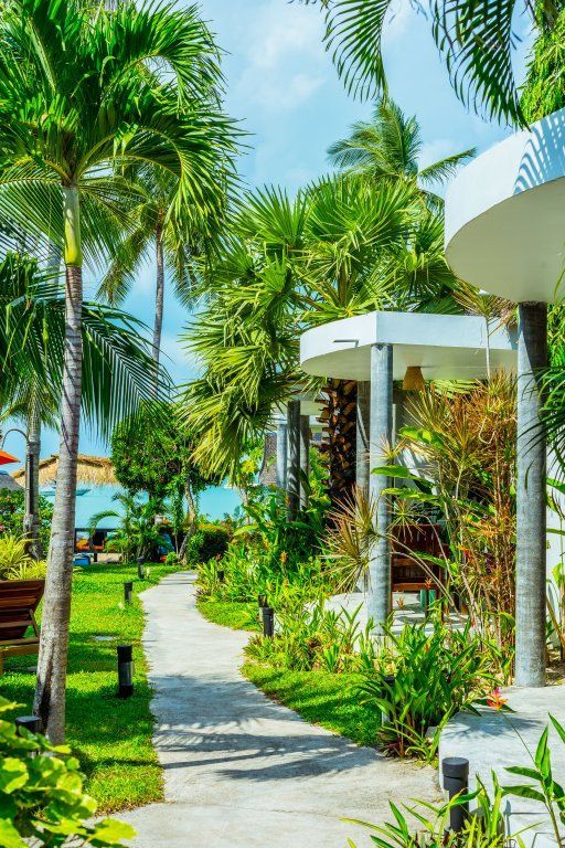 SECRET GARDEN BEACH RESORT — фото 8