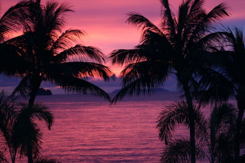 SIBAJA PALMS SUNSET BEACH LUXURY VILLA — фото 8