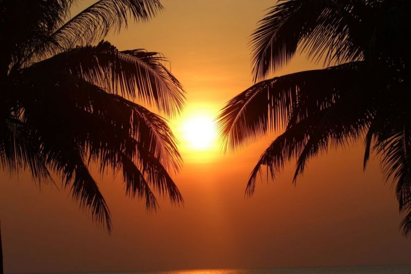 SIBAJA PALMS SUNSET BEACH LUXURY VILLA — фото 9