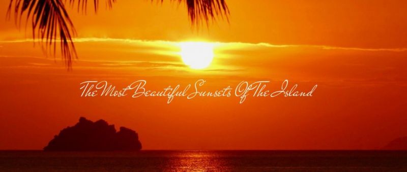 SIBAJA PALMS SUNSET BEACH LUXURY VILLA — фото 15