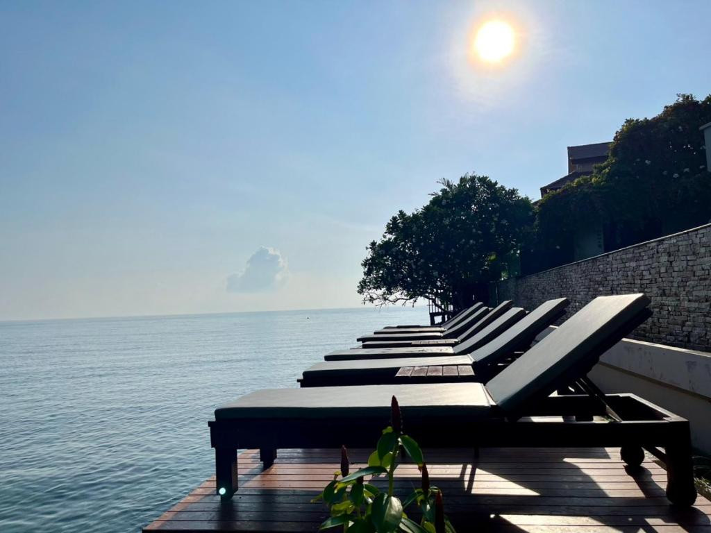 THE SARANN — фото 10