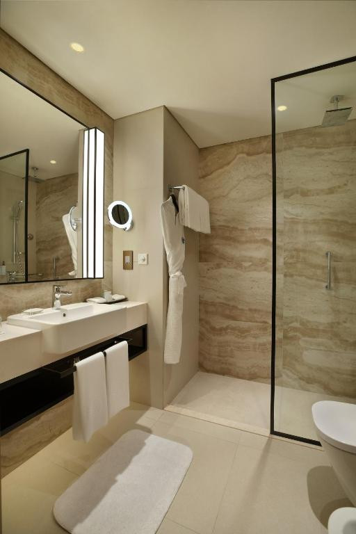 AL AIN ROTANA HOTEL — фото 15