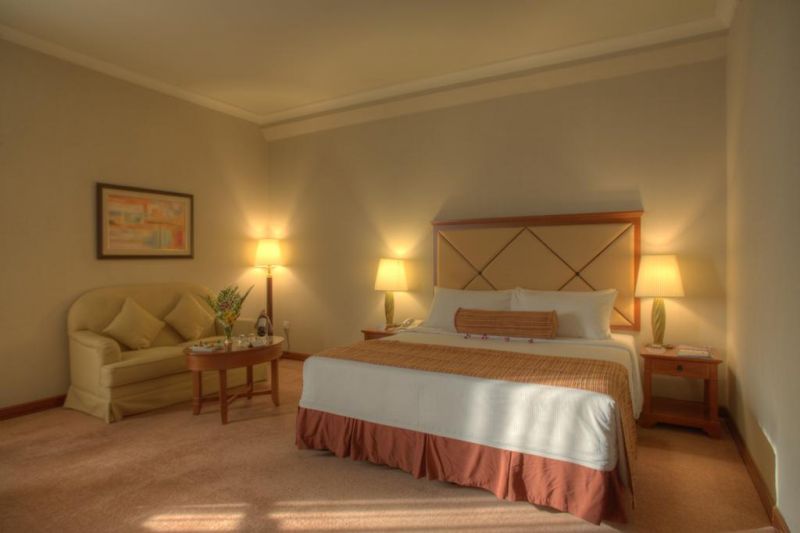 AL DIAR CAPITAL HOTEL — фото 4