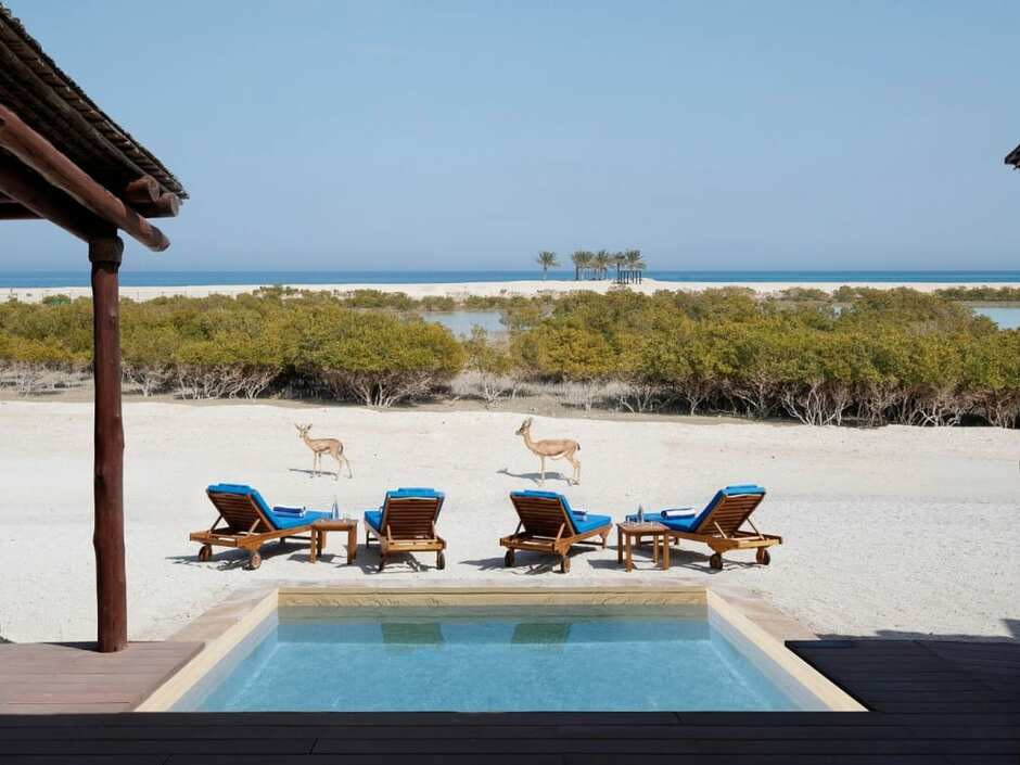 ANANTARA SIR BANI YAS ISLAND AL YAMM VILLA RESORT — фото 18