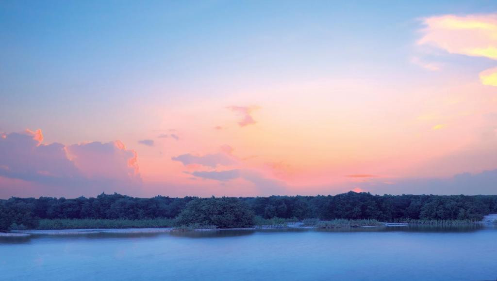 EASTERN MANGROVES HOTEL & SPA BY ANANTARA — фото 14