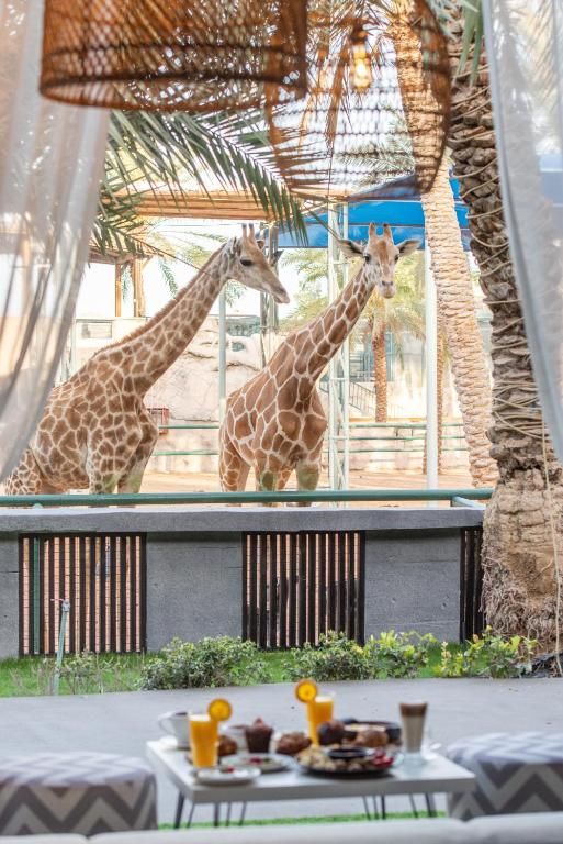 EMIRATES PARK RESORT — фото 10