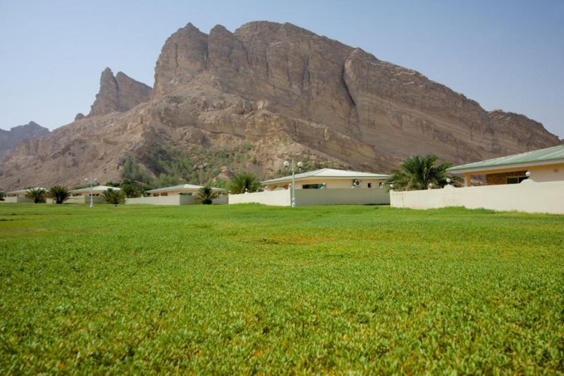 GREEN MUBAZZARAH CHALETS — фото 11