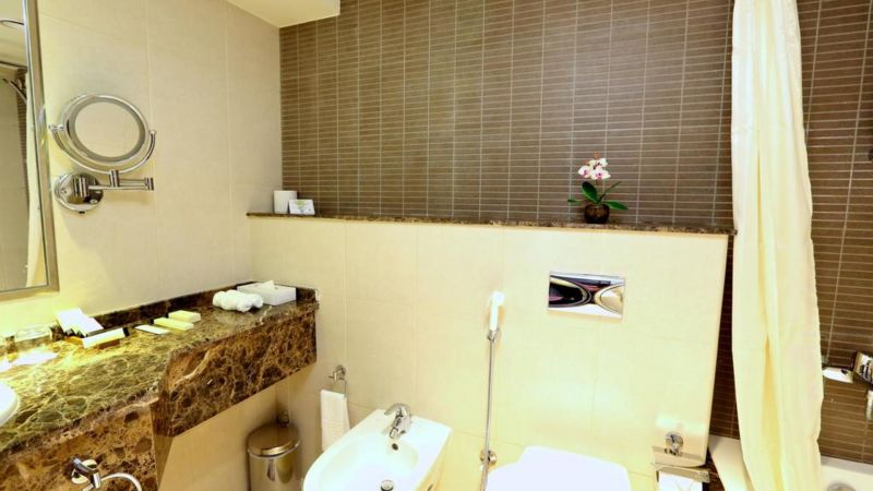 INTERNATIONAL ROTANA INN — фото 11