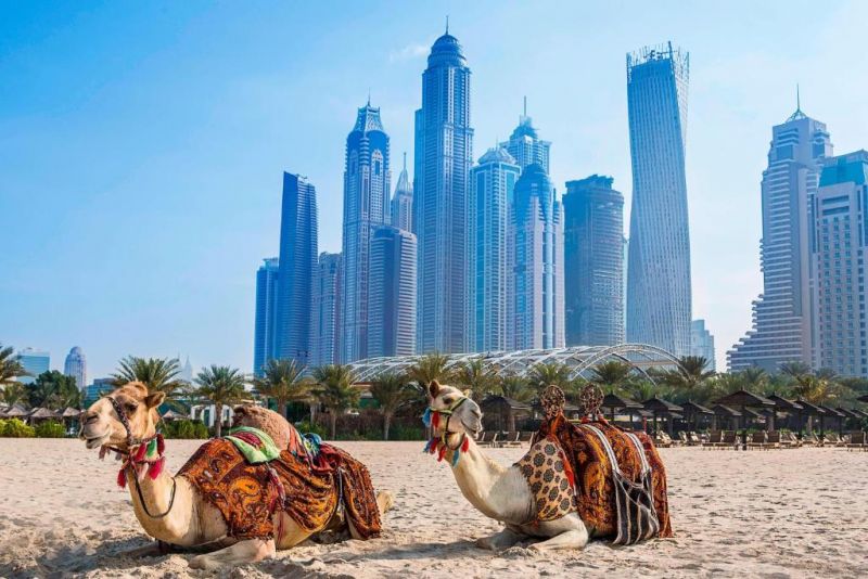 AL HABTOOR GRAND RESORT AUTOGRAPH COLLECTION — фото 6