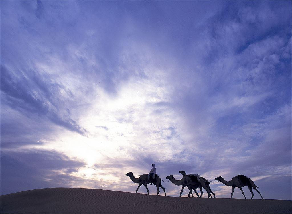 AL MAHA A LUXURY COLLECTION DESERT RESORT & SPA — фото 12