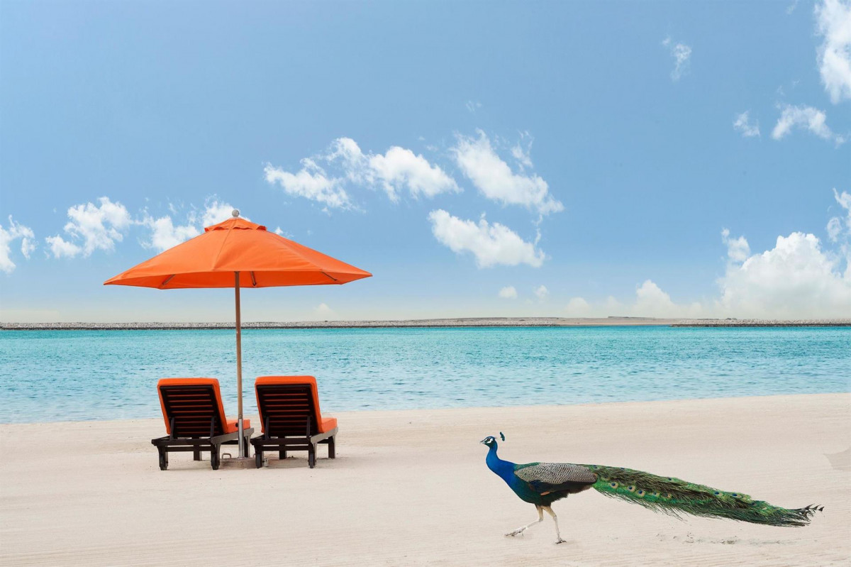 JA PALM TREE COURT (JEBEL ALI GOLF RESORT) — фото 9