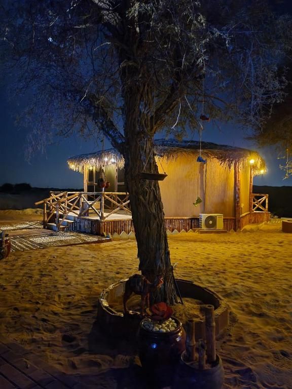 THE DUNES CAMPING & SAFARI RAK — фото 15