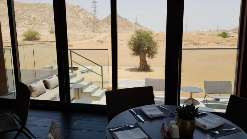 AL FAYA LODGE — фото 10
