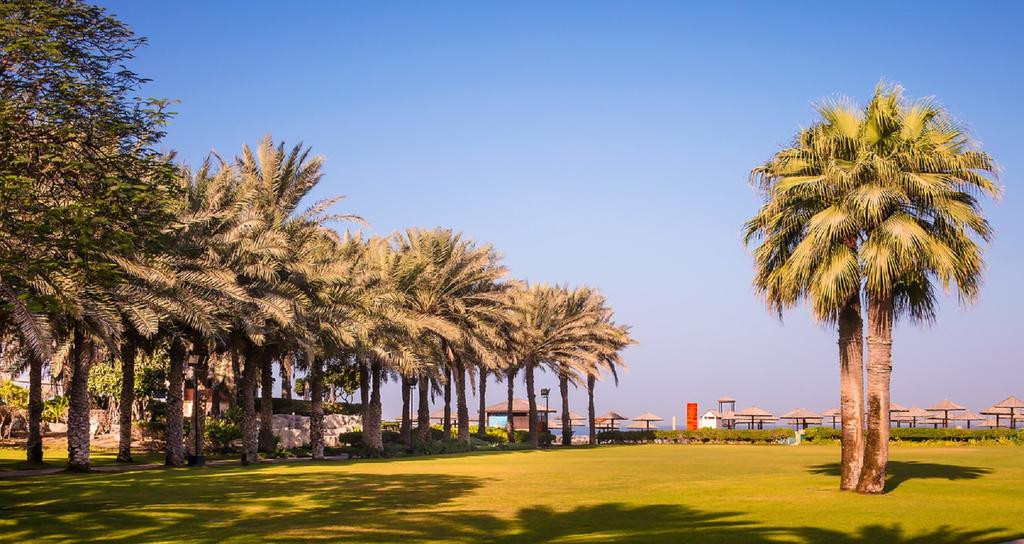 CORAL BEACH RESORT — фото 11