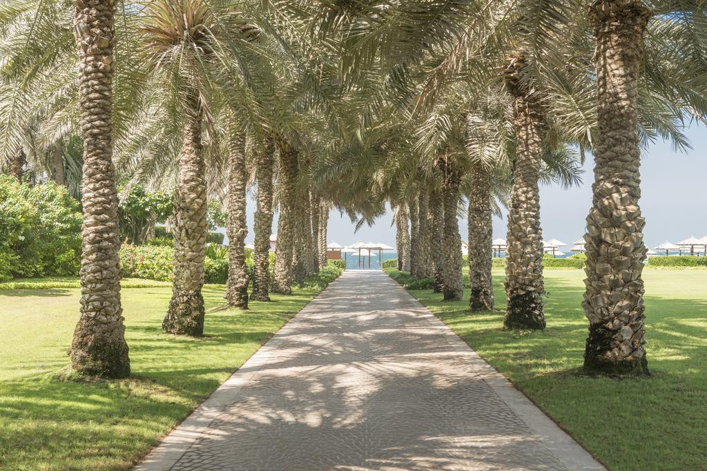 CORAL BEACH RESORT — фото 12