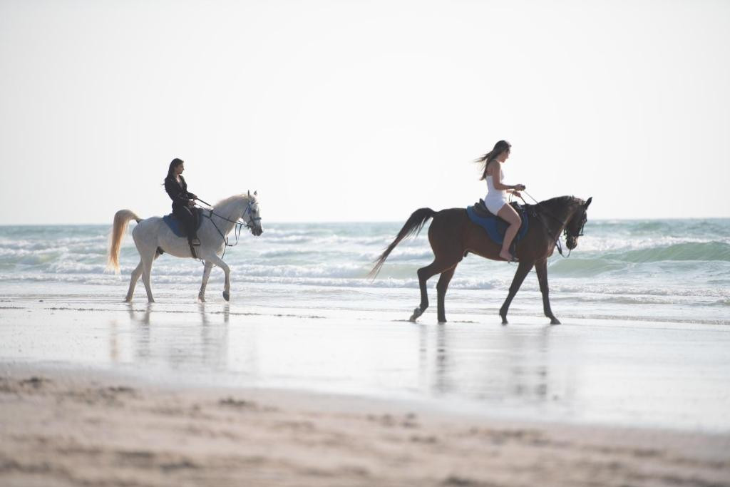 UMM AL QUWAIN BEACH HOTEL — фото 14