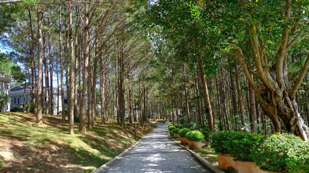 DALAT EDENSEE LAKE RESORT & SPA — фото 11