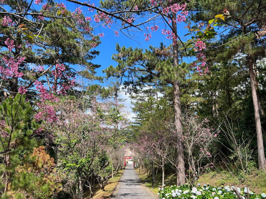 DALAT EDENSEE LAKE RESORT & SPA — фото 14
