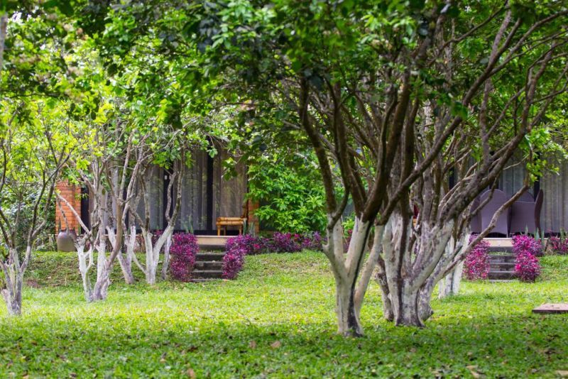 HUE RIVERSIDE BOUTIQUE RESORT & SPA — фото 13