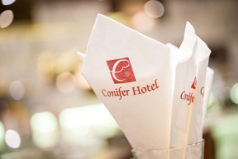 CONIFER GRAND HOTEL — фото 13