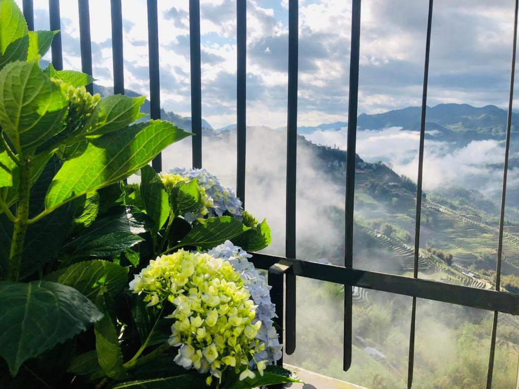 PAOS SAPA LEISURE HOTEL — фото 10