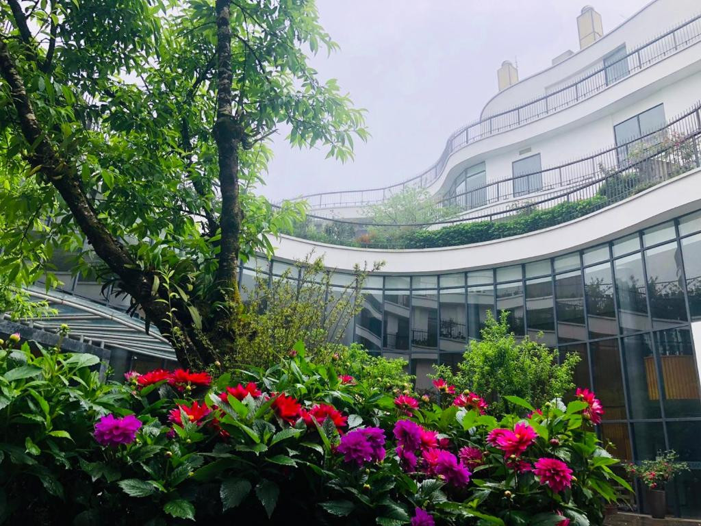 PAOS SAPA LEISURE HOTEL — фото 15