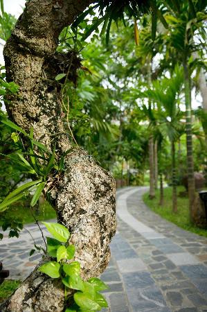 HOI AN TRAILS RESORT — фото 8