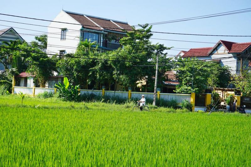 LEMONGRASS HOMESTAY