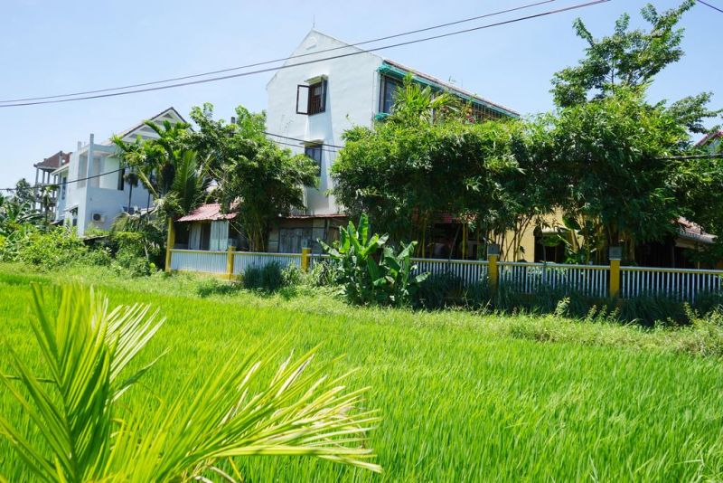 LEMONGRASS HOMESTAY — фото 3