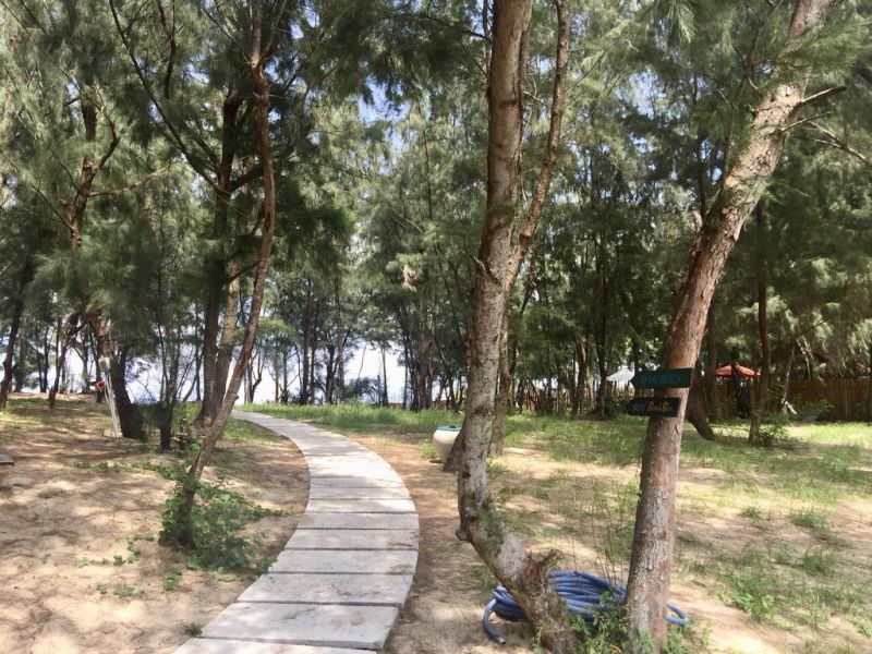 SOL AN BANG HOMESTAY BEACH RESORT — фото 4
