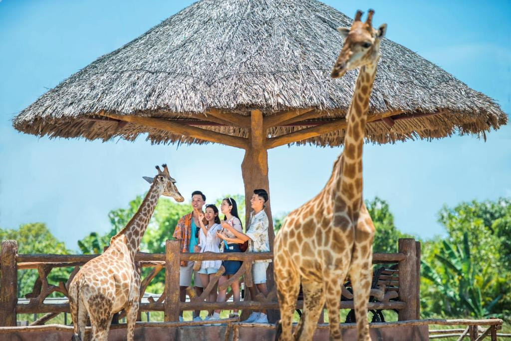 VINPEARL RESORT & GOLF NAM HOI AN — фото 17