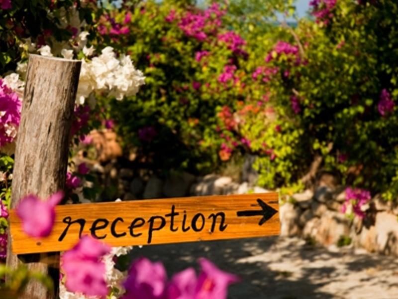 WILD BEACH RESORT & SPA — фото 14