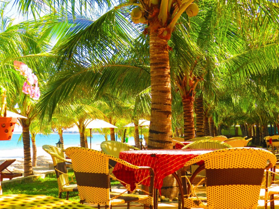 CON GA VANG RESORT (EX. GOLDEN ROOSTER) — фото 13