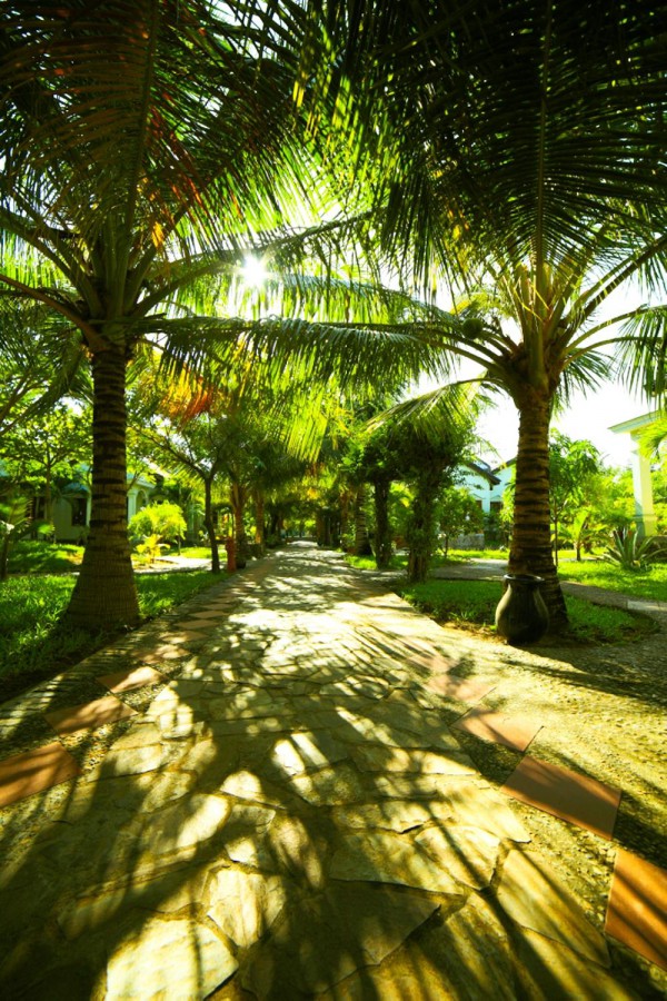 CON GA VANG RESORT (EX. GOLDEN ROOSTER) — фото 17