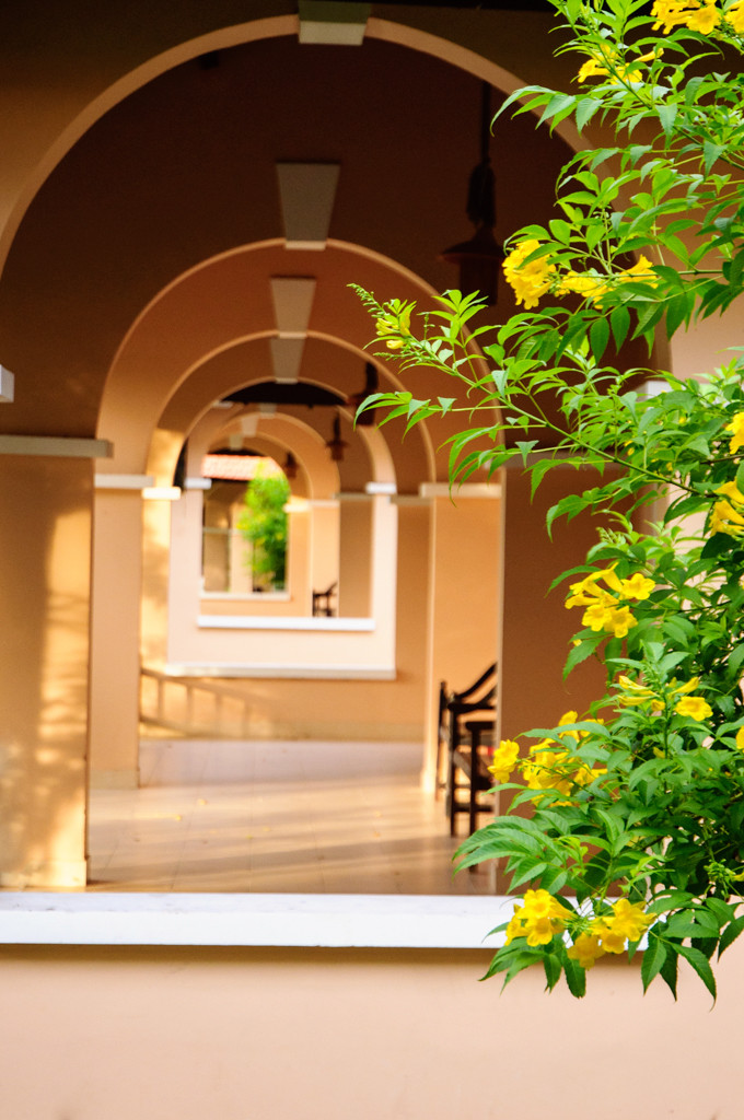 TTC RESORT PREMIUM NINH THUAN (EX. BAU TRUC RESORT) — фото 10