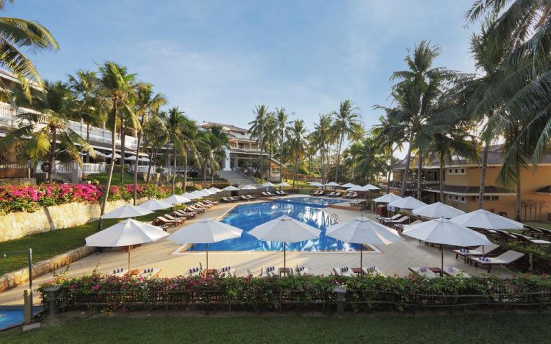 AMARYLLIS — фото 5