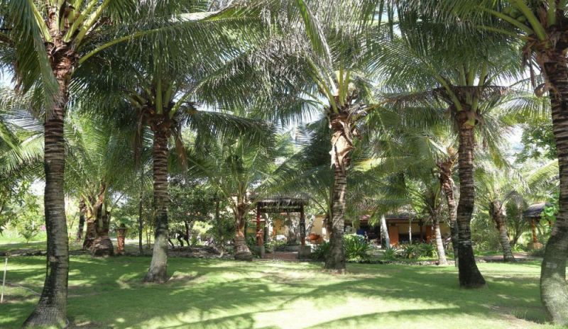 APRICOT RESORT — фото 15