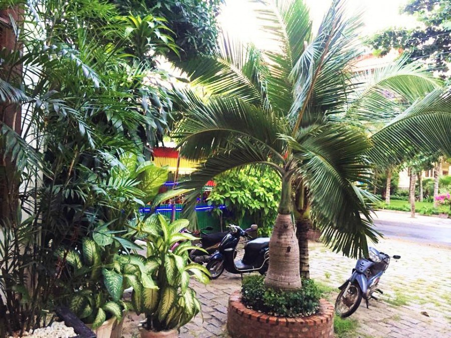 DELIGHT GUEST HOUSE — фото 12