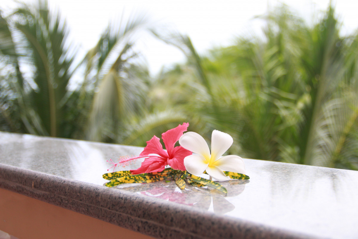 GOLDEN PEAK RESORT & SPA PHANTHIET (EX. SEA LION BEACH RESORT II KE GA) — фото 12