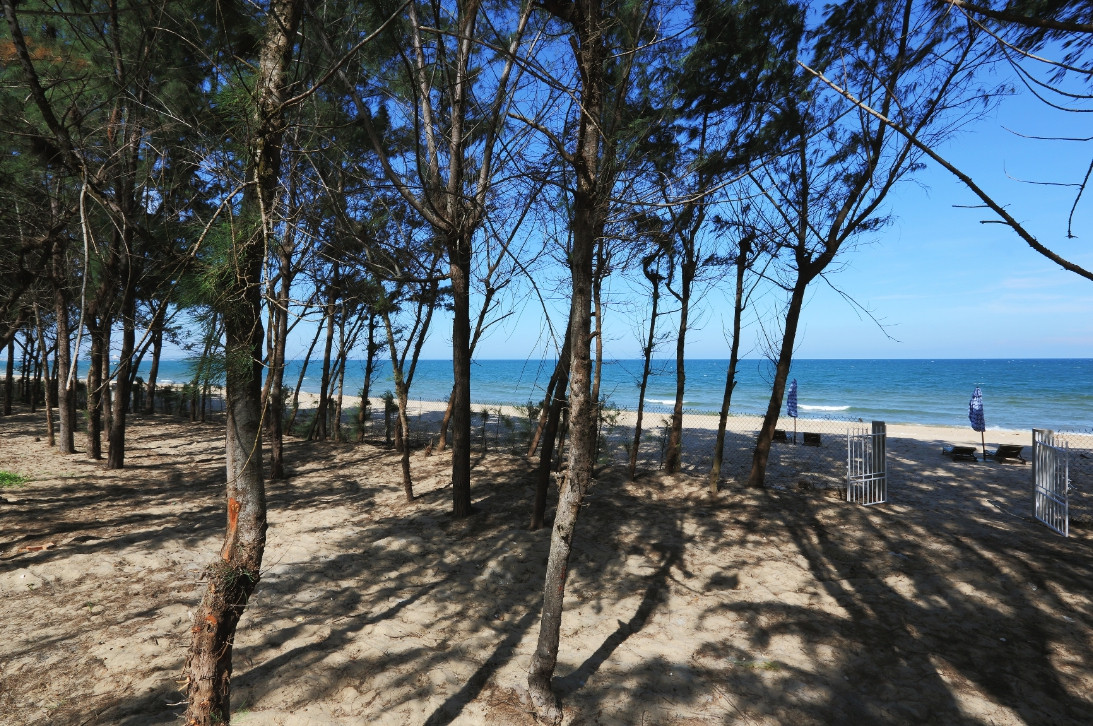 MAXIVIC RESORT (EX. SKY STAR RESORT) — фото 11