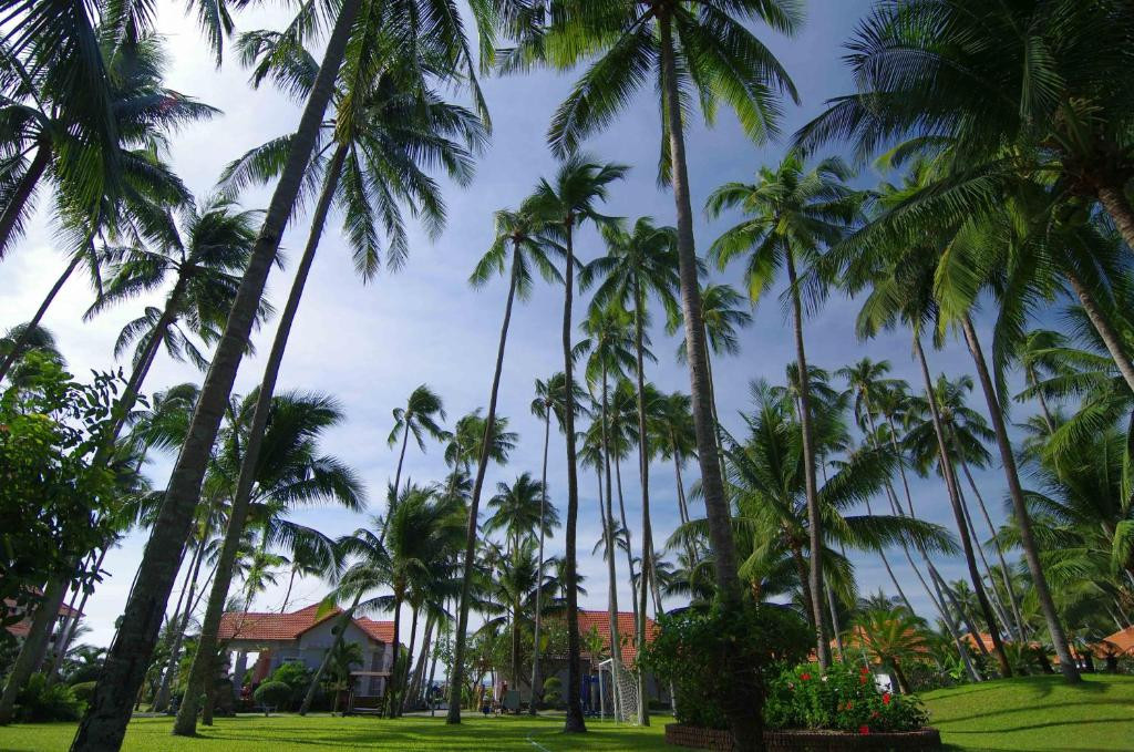 MUINE DE CENTURY BEACH RESORT & SPA — фото 5