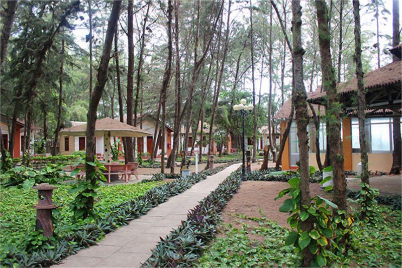 SAO MAI RESORT — фото 4