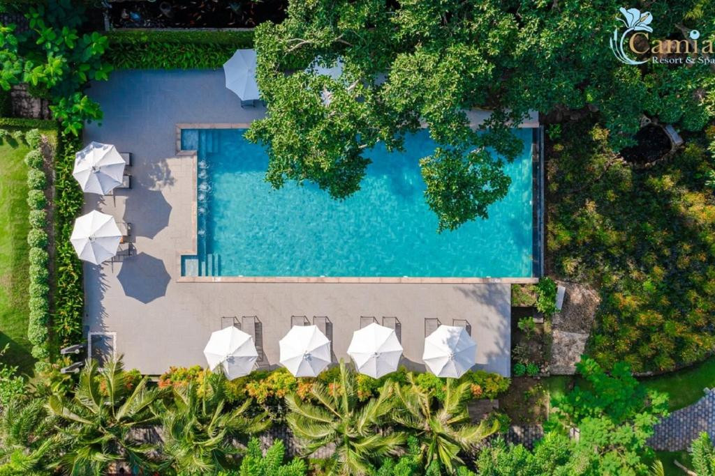 CAMIA RESORT & SPA — фото 14