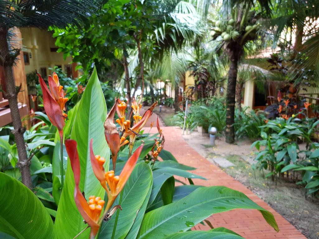 FREE BEACH RESORT — фото 10